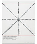 Counting Alternatives (The Wittgenstein Illustrations): Asterisk Branch