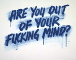 Are You Out of Your Fucking Mind?