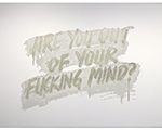 Are You Out Of Your Fucking Mind?